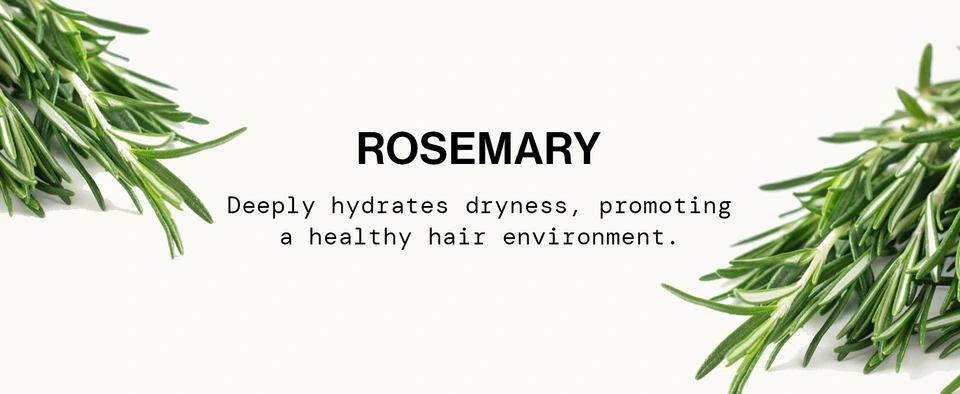 cleanest non-stripping deeply cleanses removing oils build-hair amazing natural scent sweet gentle nourishing revive formulated herbal