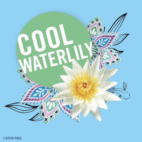 Secret Cleansing Wipes Cool Waterlily Scent | Hy-Vee Aisles Online