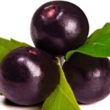 Acai Fruit Oil