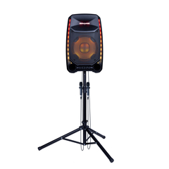 Total PA Ultimate on stand with 2 microphones