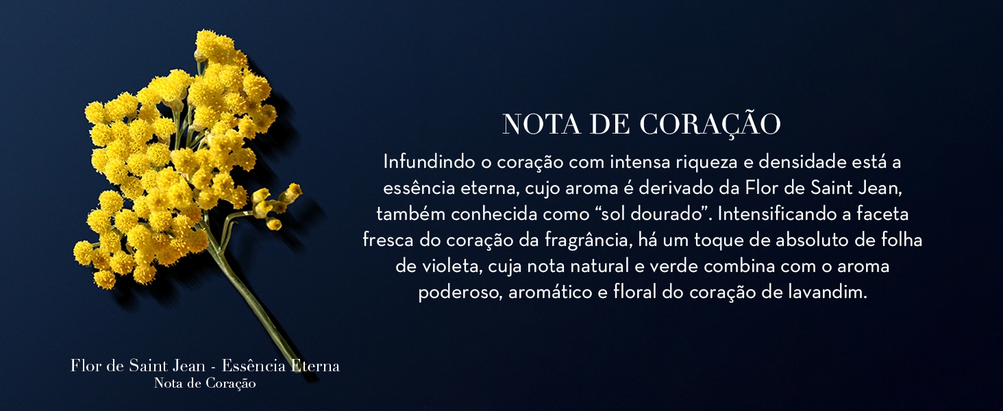 Perfume Giorgio Armani Acqua di Gi&ograve; Profondo Parfum Masculino