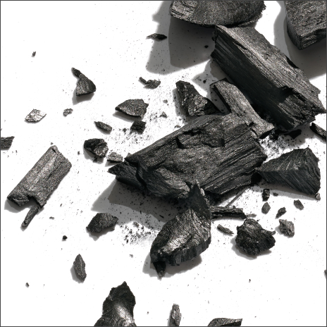 Binchotan Charcoal