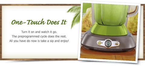 kohls margaritaville machine