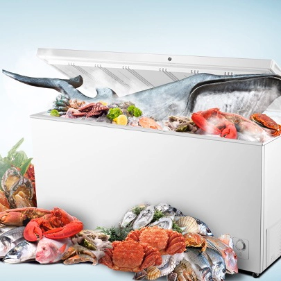 17.7 cu. ft. Convertible Chest Freezer - 66 in Hisense FC18D6CWD