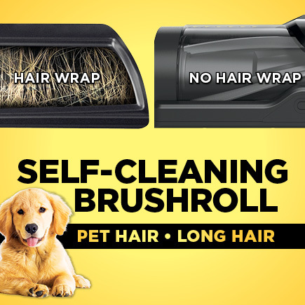 Self-Cleaning Brushroll