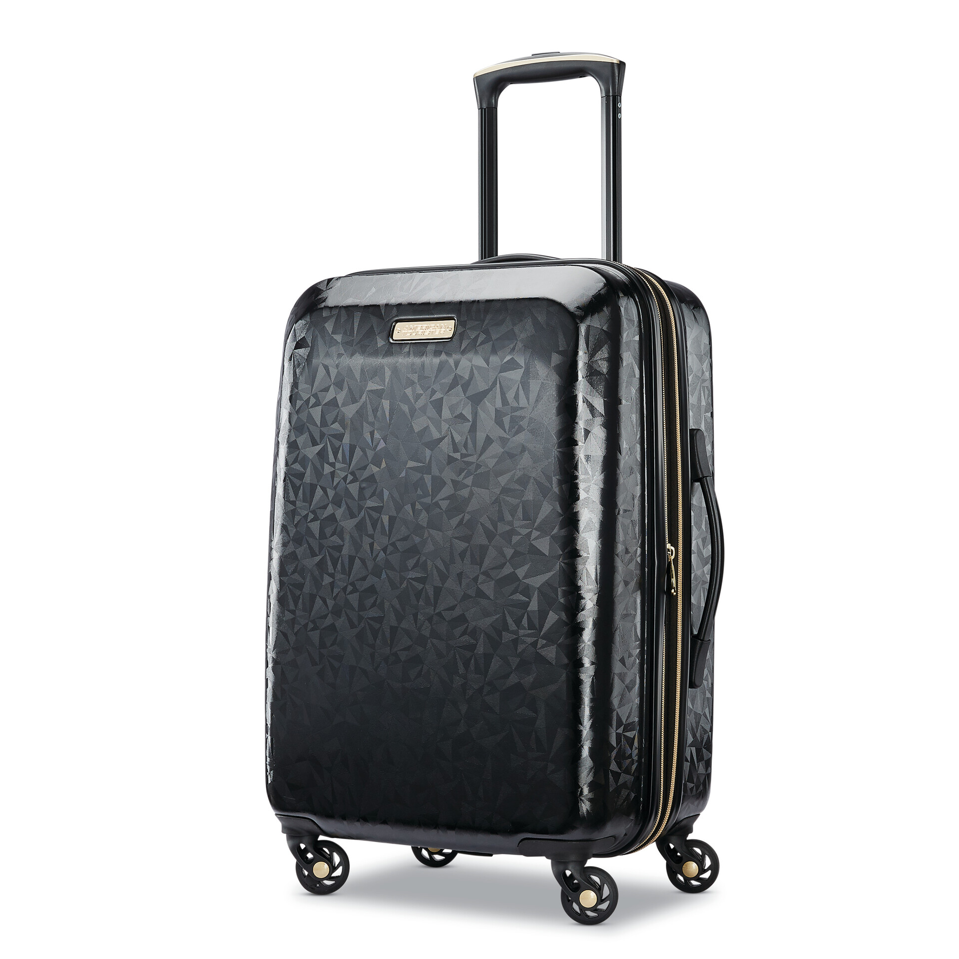 American Tourister 1920s Vintage Luggage