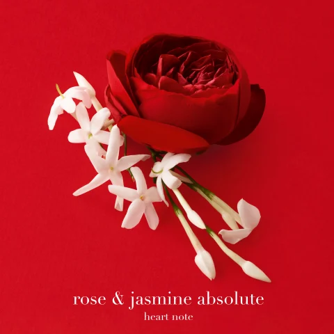 HEART NOTE: ROSE &amp; JASMINE ABSOLUTE