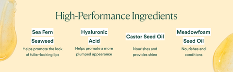 High-Performance Ingredients