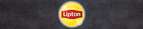 Lipton® Peach Diet Iced Tea, 16.9 oz, 12 pk
