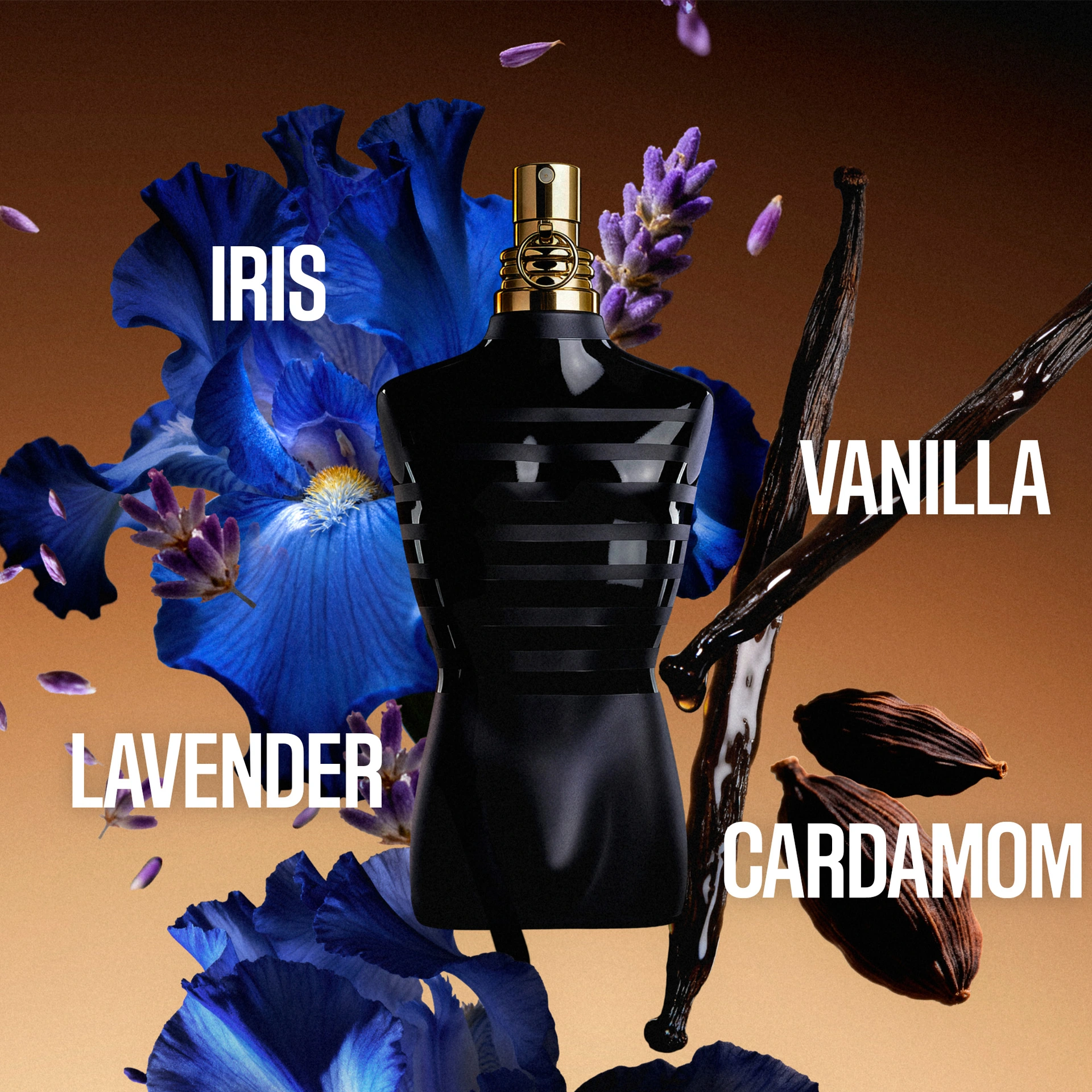 le male le parfum ingredients