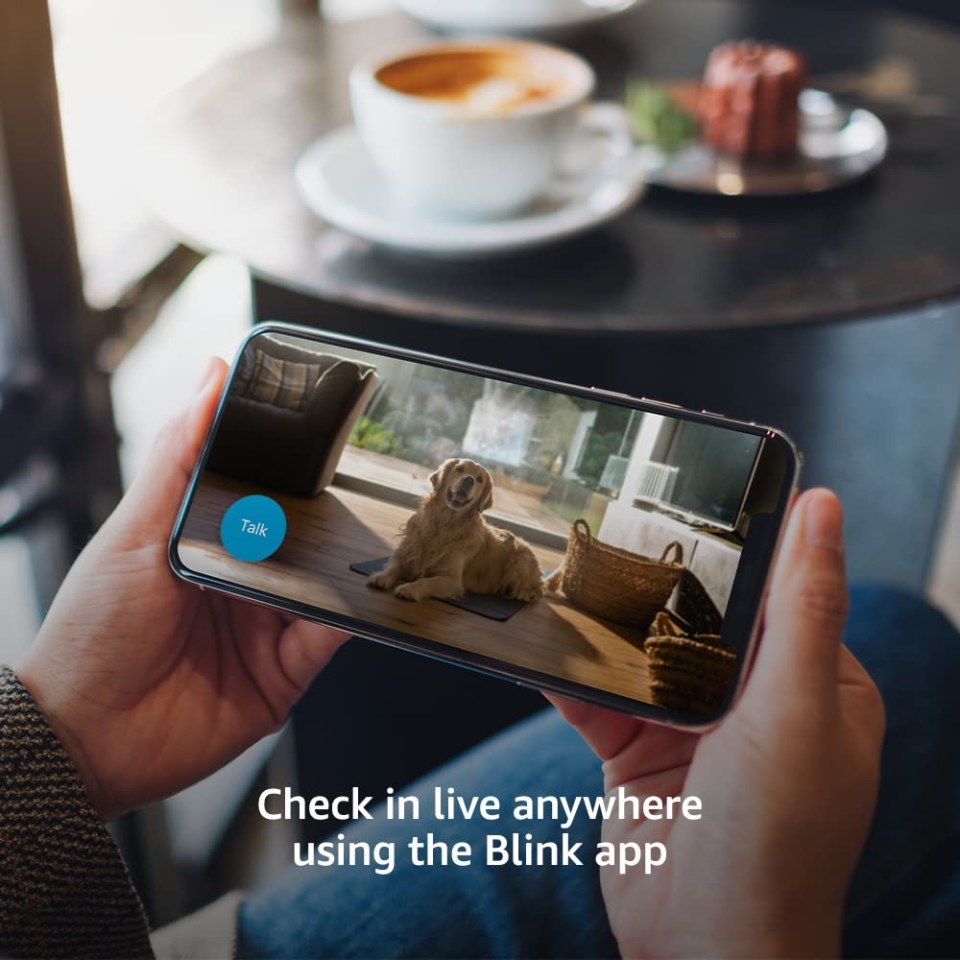 Check in live anywhere with the Blink App