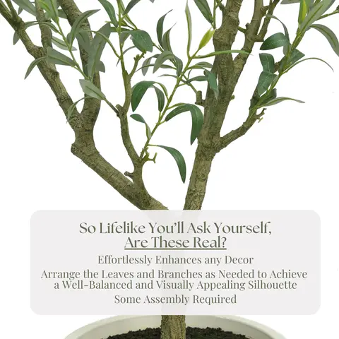 Lifelike Graphic