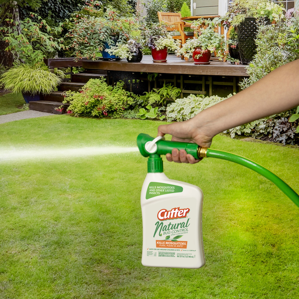 Cutter Natural Bug Control Spray Concentrate, Insect Killer, 32Ounce