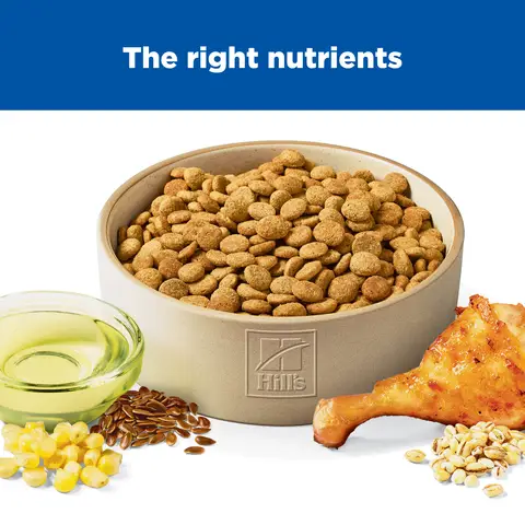 Hill's® Science Diet® Light Adult Dry Dog Food - Chicken & Barley