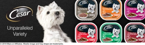 Cesar, Unparalleled Variety, Wet Dog Food Variety Pack, Cesar Classics, Chicken, Fish, Beef