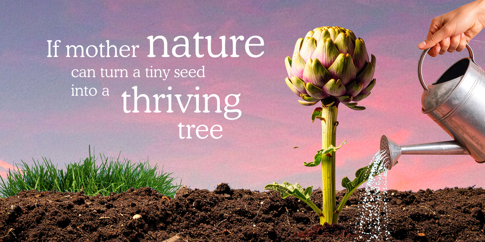 If mother nature can turn a tiny seed into a thriving tree