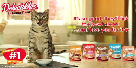 Delectable lickable hotsell cat treat