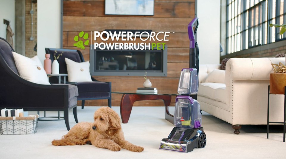 BISSELL Powerforce Powerbrush Pet Lightweight Carpet Washer 2910