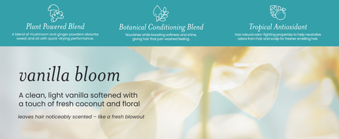 vanilla bloom - leaves hair noticeably scented