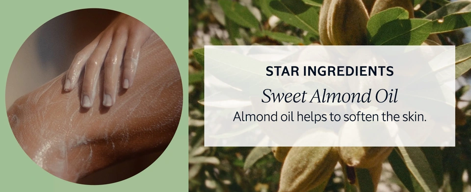 Star Ingredients: Sweet Almond Oil; Almond oil helps to soften the skin