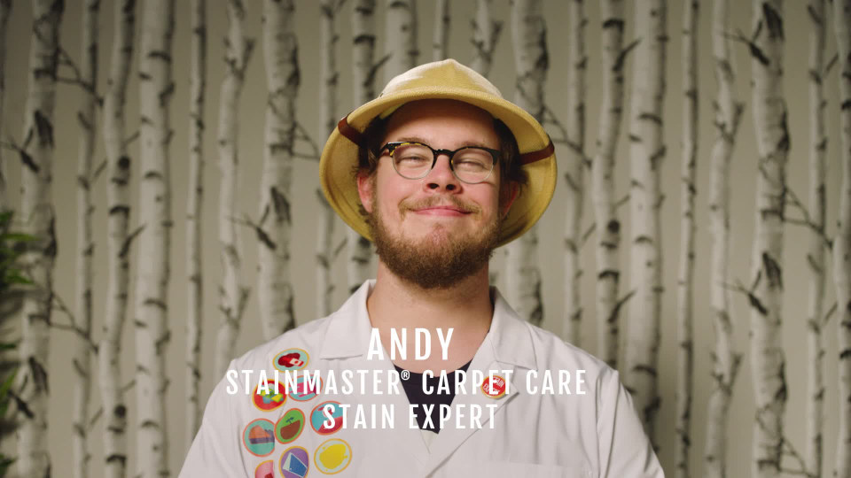 Stainmaster Carpet Pet Stain Remover, 22 fl oz