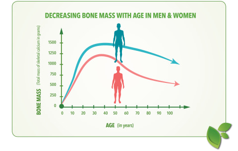 Decreasing Bone Mass With Age In Men and Women
