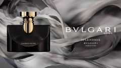 perfume bvlgari splendida jasmin noir