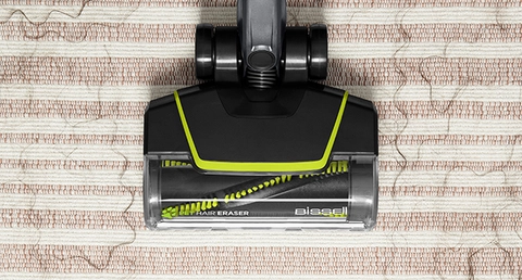 Tangle-Free Brush Roll