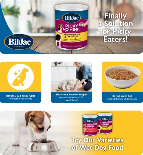 Wet dog food for picky dogs sales