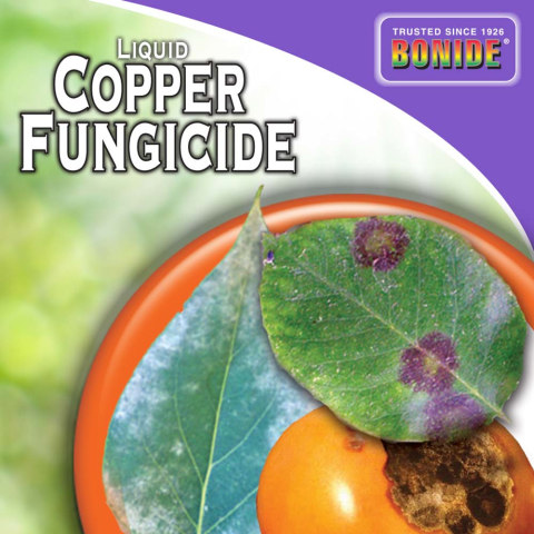 Bonide 32 Fl Oz Natural Copper Fungicide In The Moss Algae Fungus Control Department At Lowes Com