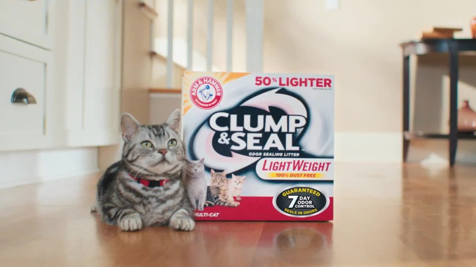 thumbnail video image 2 of Arm & Hammer Clump & Seal Lightweight Cat Litter, Multi Cat 9 lb, 2 of 11