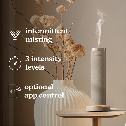 Simple controls, immersive olfactory experience