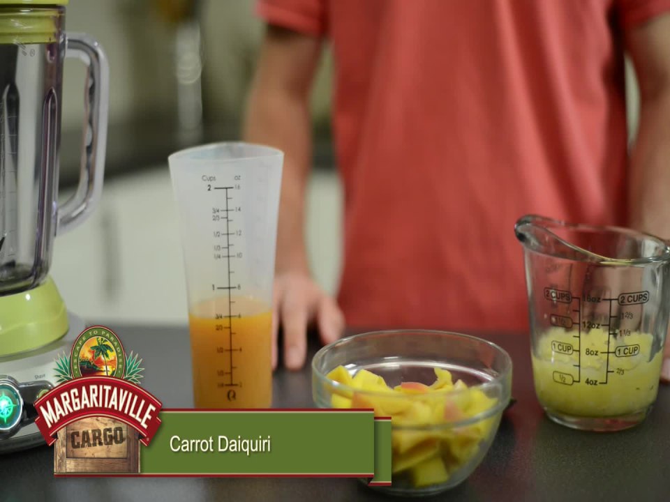 Margaritaville Bali Frozen Concoction Maker Blender with Auto Refresh  ✅✅✅✅✅✅✅✅✅✅