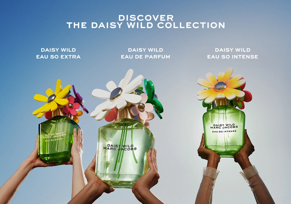 Discover the collection