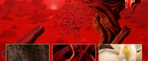 Origen Sahara Mystery EDP