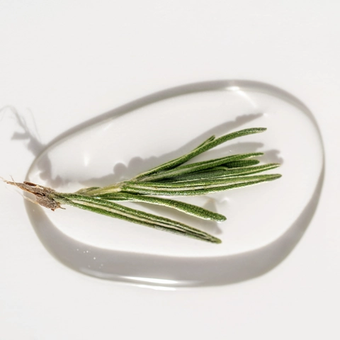 Rosemary Oil