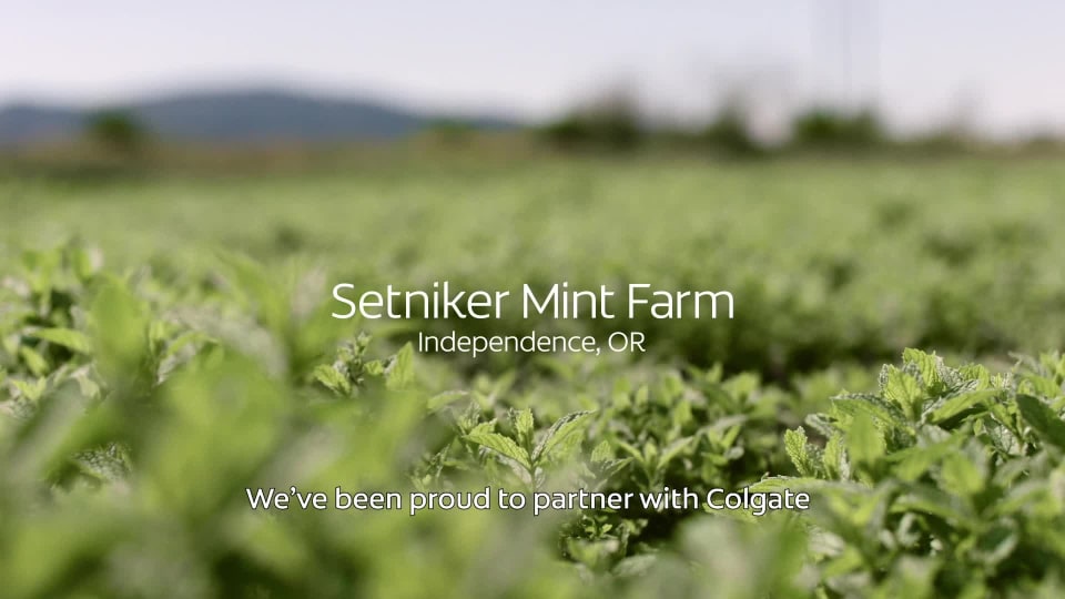 thumbnail video image 2 of Colgate Max Fresh Toothpaste with Mini Breath Strips, Clean Mint - 6 ounce, 2 of 17