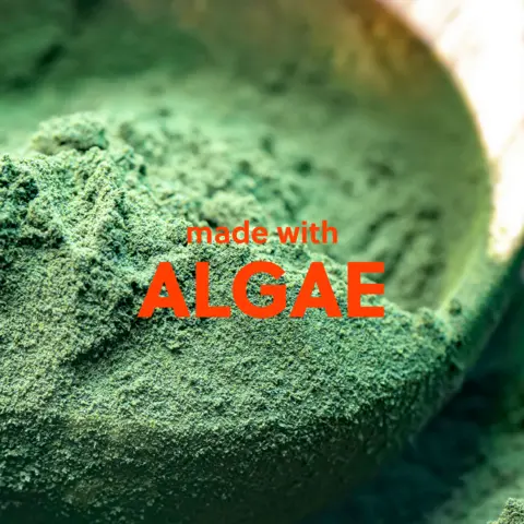 ALGAE