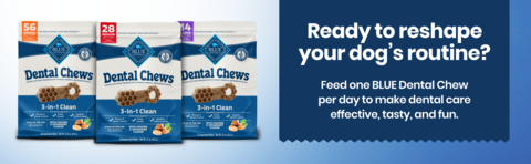 Blue buffalo dental treats best sale