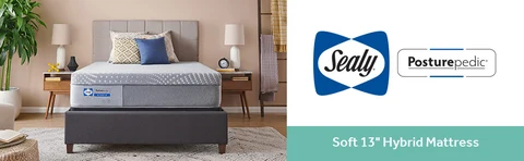 Sealy posturepedic chase pointe ltd ii 11 online