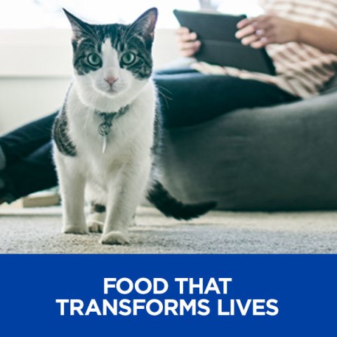 hills mobility cat food