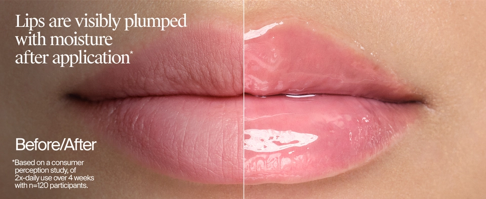 pluming lip gloss plumping gloss plumping lip plump lips plumper lip gloss