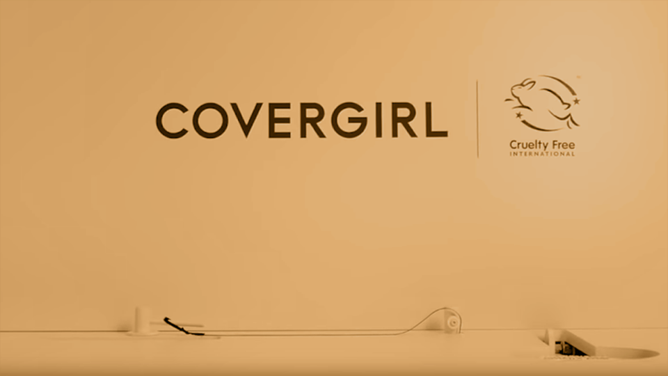 thumbnail video image 2 of COVERGIRL Easy Breezy Volumizing Brow Gel, Light, 2 of 11