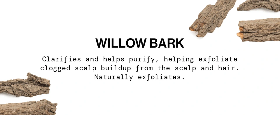 crisp fresh oily congested wet massage results calm balance morning night daily haircare routine vegan cruelty free functional