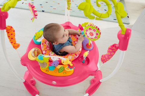 Fisher price best sale pink petals jumperoo