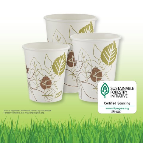 DIXIE Pathways 12 oz. Green/Burgundy Heavyweight Disposable Paper Bowls  (1,000-Carton) DXESX12PATH - The Home Depot