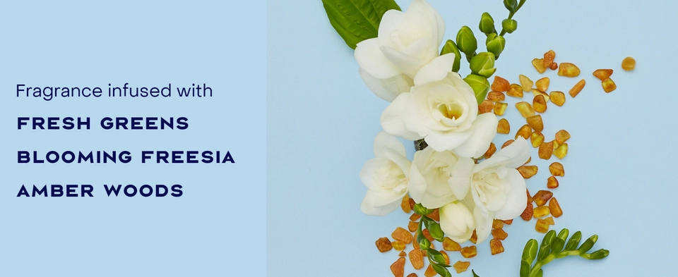 Image of fragrance ingredients like Fresh Greens, Blooming Freesia, Amber woods
