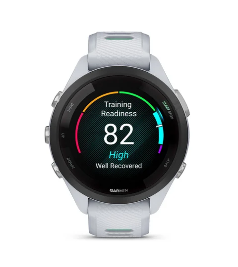 時計 GARMIN265s 480.webp