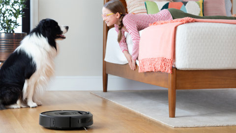 Irobot Roomba I8 Wi Fi Connected Robot, Best Roomba For Hardwood Floors And Dog Hair