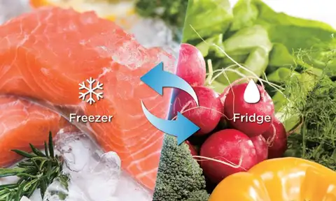 Convertible Freezer Convertible Freezer